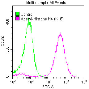 Histone H4K16ac (Acetyl H4K16) Recombinant Monoclonal Antibody [2B8] (50µl)