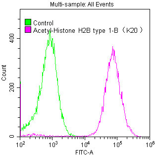 Histone H2B.1K20ac (Acetyl H2B.1K20) Recombinant Monoclonal Antibody [21F11] (100µl)