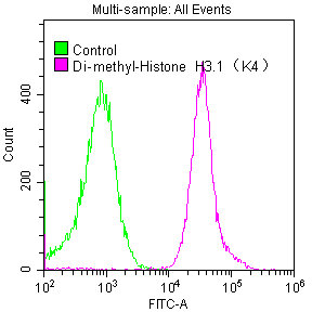 Histone H3.1K4me2 Recombinant Monoclonal Antibody [6F6] (50µl)