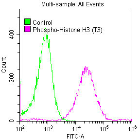 Phospho Histone H3.3 (T3) Recombinant Monoclonal Antibody [28H4] (50µl)