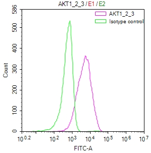 AKT1/2/3 Recombinant Monoclonal Antibody [16E10]