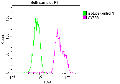 BUB1B Recombinant Monoclonal Antibody [7H4] (50µl)