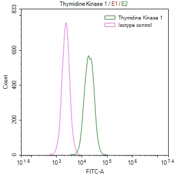 TK1 Recombinant Monoclonal Antibody [6F6] (50µl)