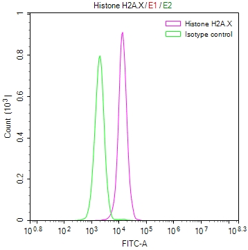 H2AFX Recombinant Monoclonal Antibody [29H6] (100µl)