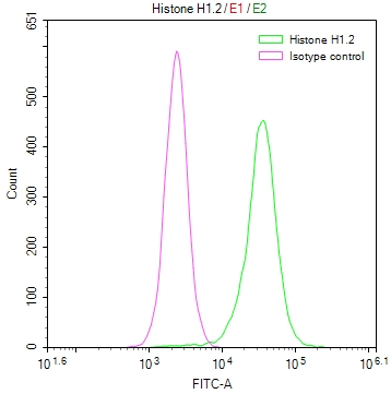 HIST1H1C Recombinant Monoclonal Antibody [16H4] (50µl)
