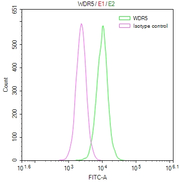 WDR5 Recombinant Monoclonal Antibody [18D11] (50µl)