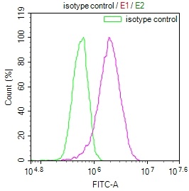 ACO1 Recombinant Monoclonal Antibody [22C10] (100µl)