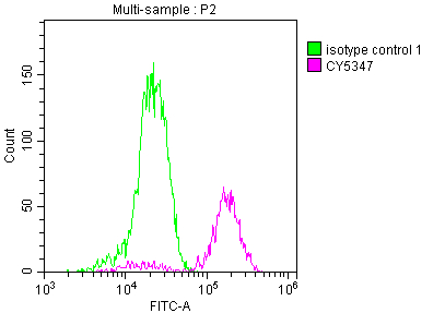 PARP1 Recombinant Monoclonal Antibody [8C7] (100µl)