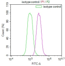 HIF1AN Recombinant Monoclonal Antibody [12F11] (100µl)