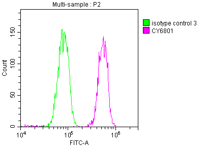 PABPN1 Recombinant Monoclonal Antibody [6C3] (100µl)