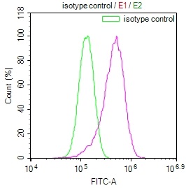 ISG15 Recombinant Monoclonal Antibody [16D8] (50µl)