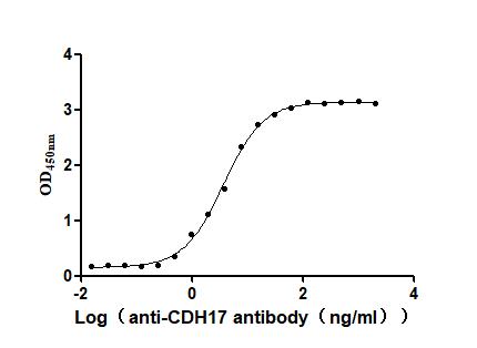 CDH17 Recombinant Monoclonal Antibody [10B3]