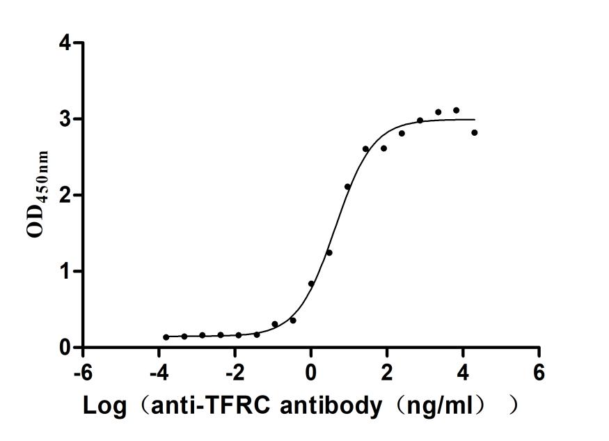 TFRC Recombinant Monoclonal Antibody [7H12] (100µl)
