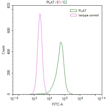 PLAT Recombinant Monoclonal Antibody [32B1] (100µl)
