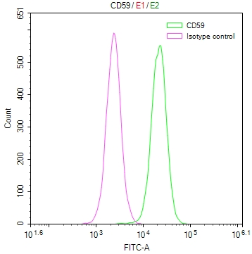 CD59 Recombinant Monoclonal Antibody [28D4]