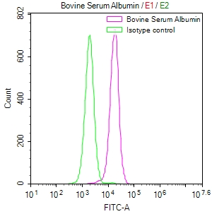 ALB Recombinant Monoclonal Antibody [30F6]