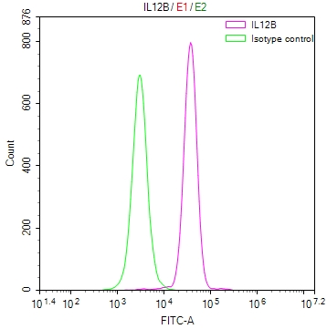 IL12B Recombinant Monoclonal Antibody [10B10] (100µl)