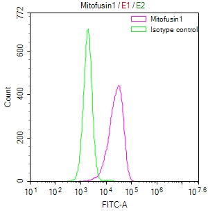 MFN1 Recombinant Monoclonal Antibody [11G8]