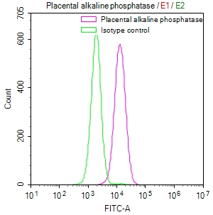 ALPP Recombinant Monoclonal Antibody [5B9] (100µl)