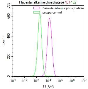 ALPP Recombinant Monoclonal Antibody [5B9] (50µl)