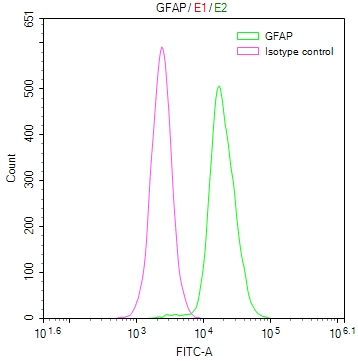 GFAP Recombinant Monoclonal Antibody [14C8] (100µl)