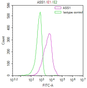ASS1 Recombinant Monoclonal Antibody [18G11] (100µl)