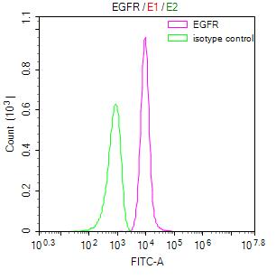 EGFR Recombinant Monoclonal Antibody [29C10] (100µl)