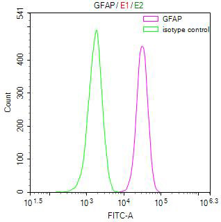 GFAP Recombinant Monoclonal Antibody [6B12] (50µl)