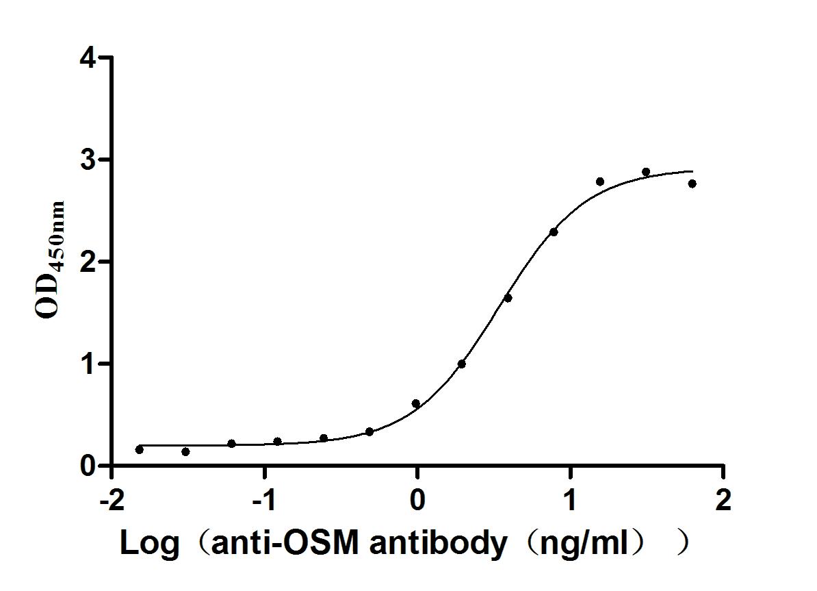 OSM Recombinant Monoclonal Antibody [31E7] (100µl)