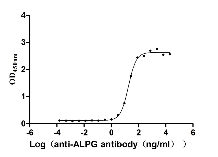 ALPG Recombinant Monoclonal Antibody [29A5]