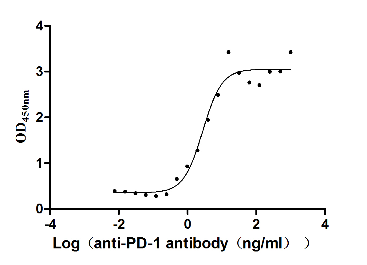 PD-1 Recombinant Monoclonal Antibody [9A9] (100µl)