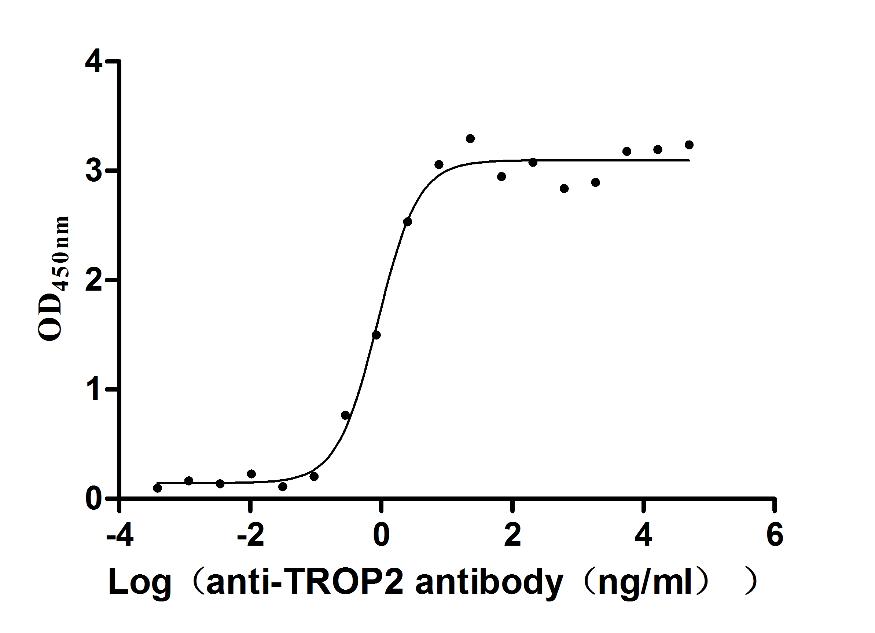 TROP2 Recombinant Monoclonal Antibody [10B10] (50µl)