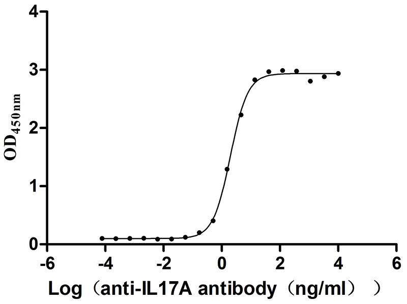 IL17A Recombinant Monoclonal Antibody [11C11] (50µl)