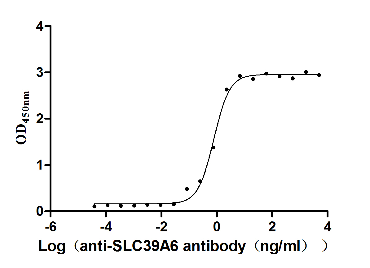SLC39A6 Recombinant Monoclonal Antibody [13F1]