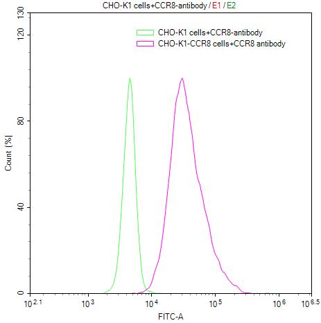 CCR8 Recombinant Monoclonal Antibody [2C10]