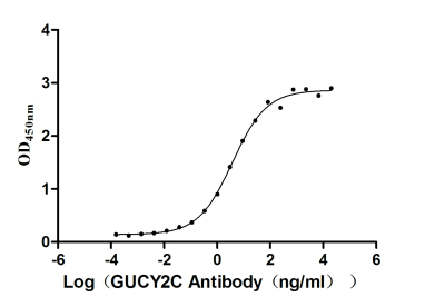 GUCY2C Recombinant Monoclonal Antibody [4G12] (50µl)