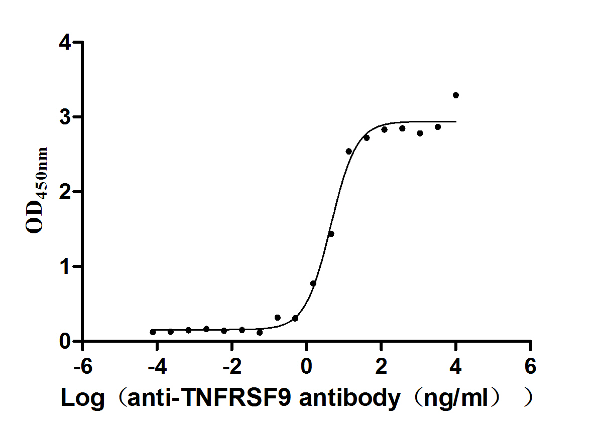 TNFRSF9/4-1BB Recombinant Monoclonal Antibody [1H7] (50µl)