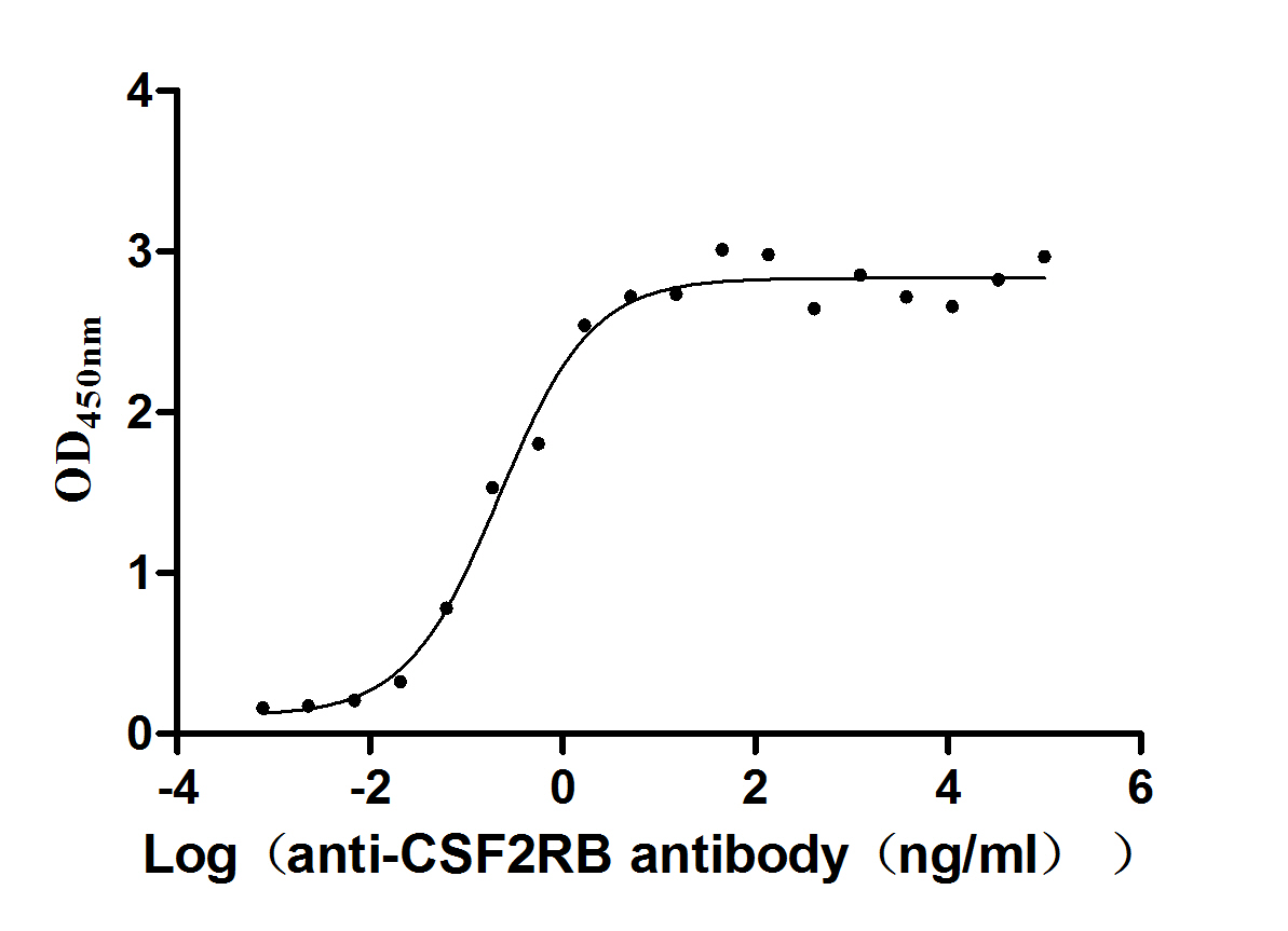 CSF2RB Recombinant Monoclonal Antibody [7B6] (100µl)