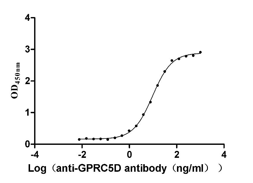GPRC5D Recombinant Monoclonal Antibody [3D4] (100µl)