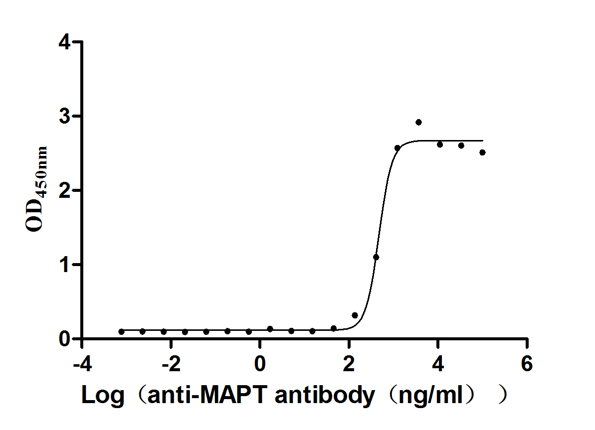 MAPT Recombinant Monoclonal Antibody [8C2] (50µl)