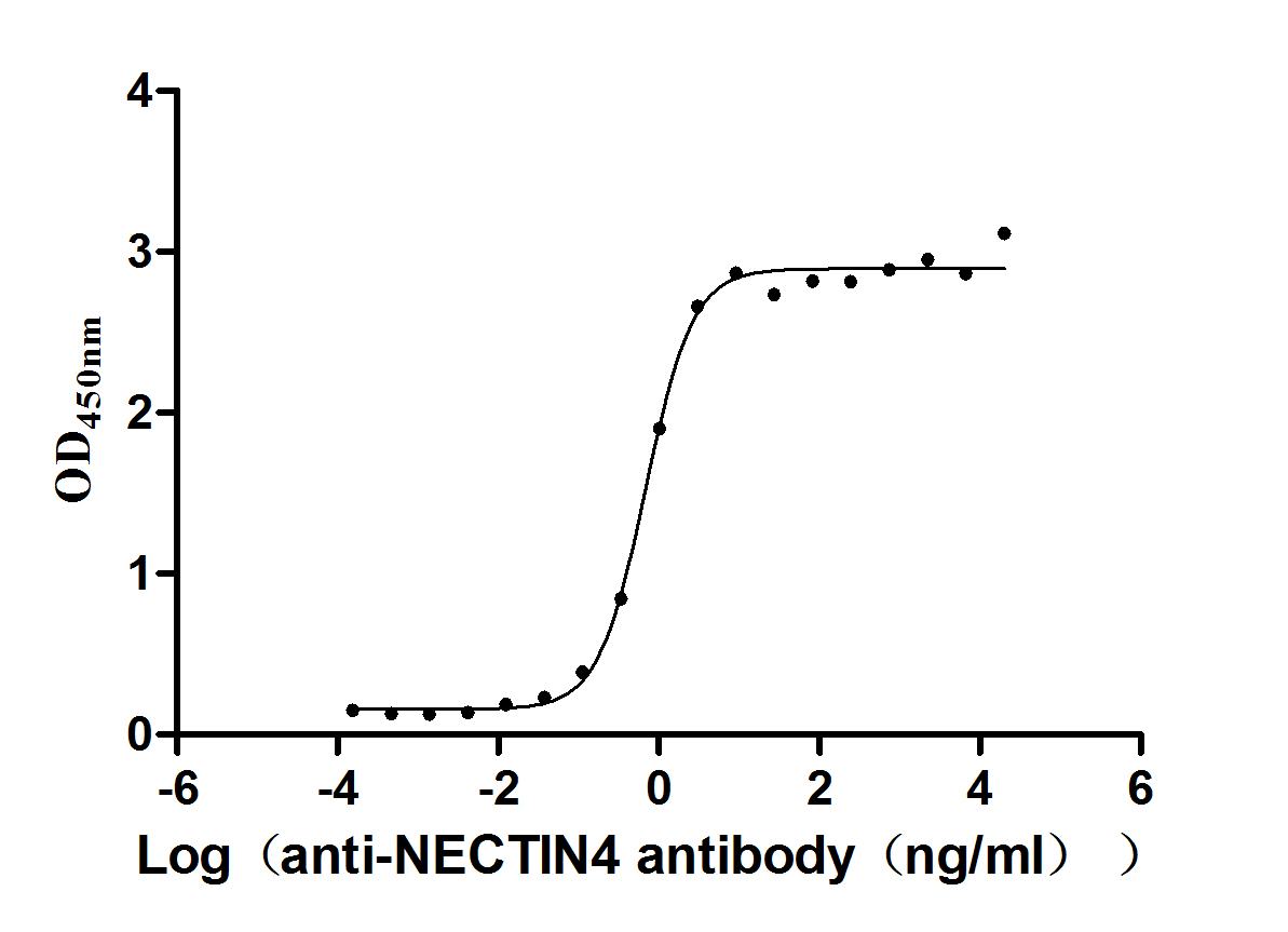 NECTIN4 Recombinant Monoclonal Antibody [6D3] (100µl)
