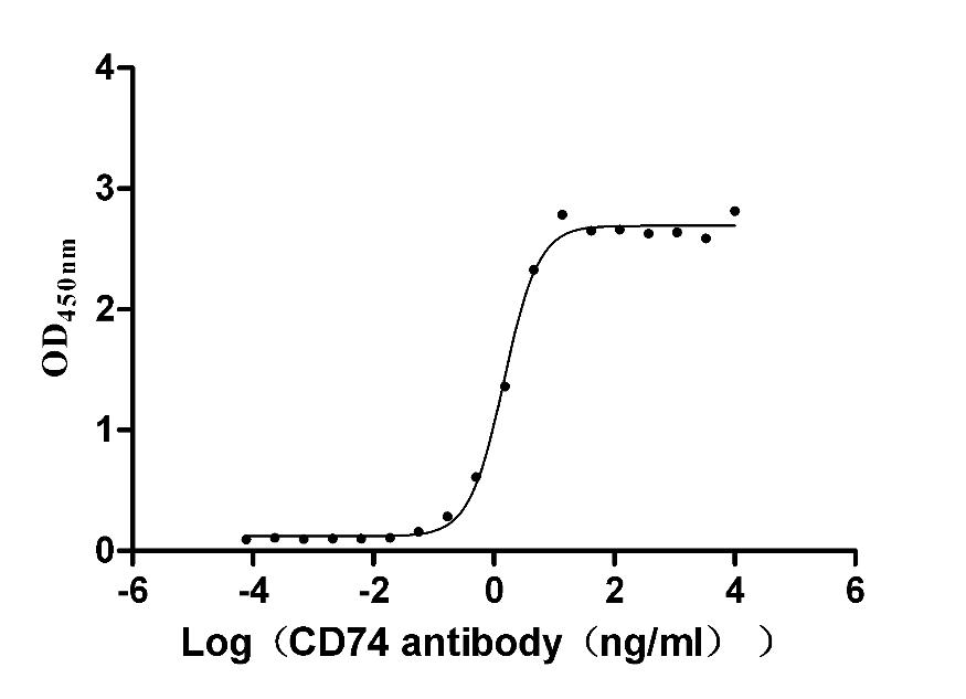 CD74 Recombinant Monoclonal Antibody [6B4] (100µl)