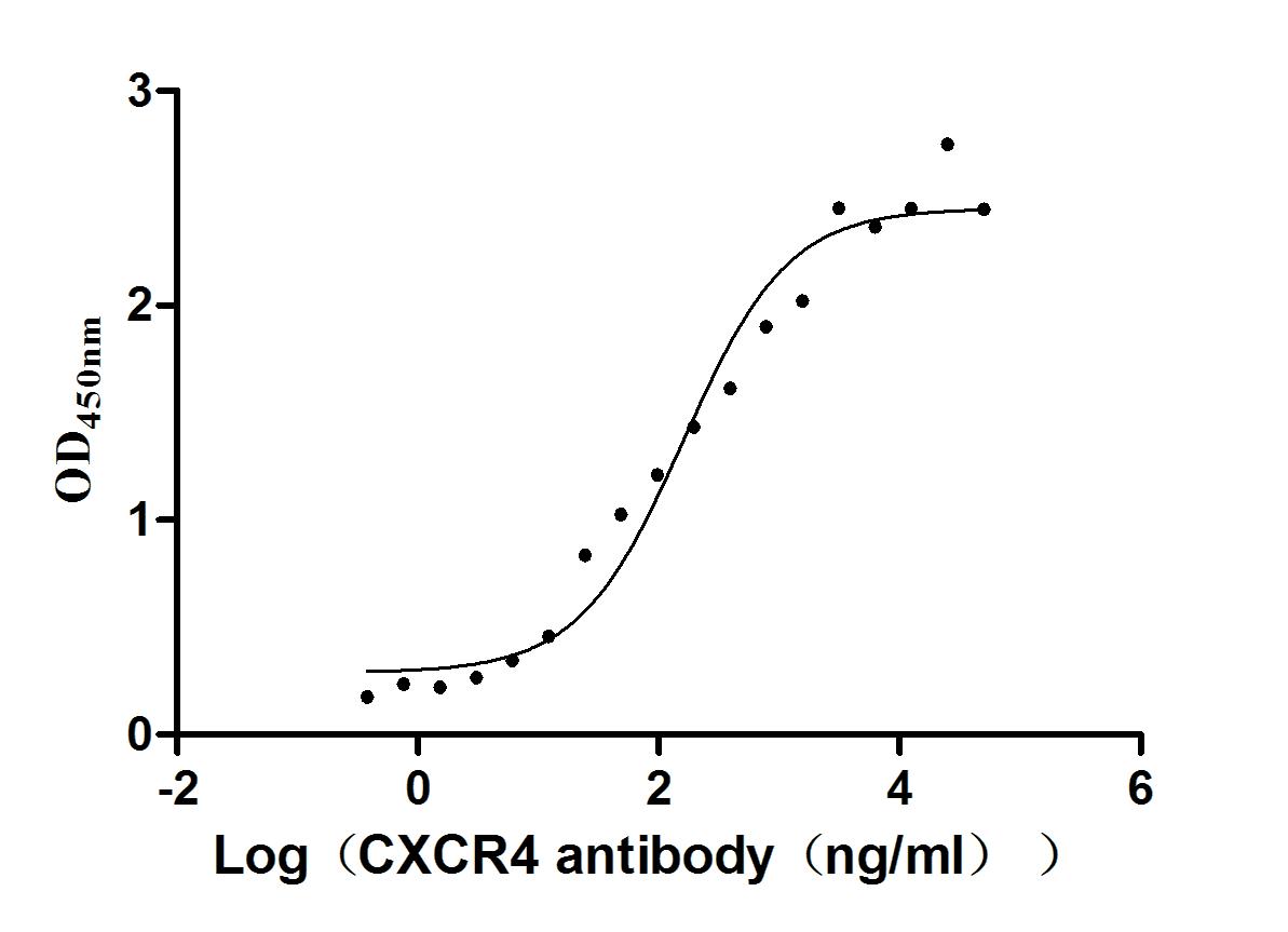 CXCR4 Recombinant Monoclonal Antibody [2D4] (50µl)