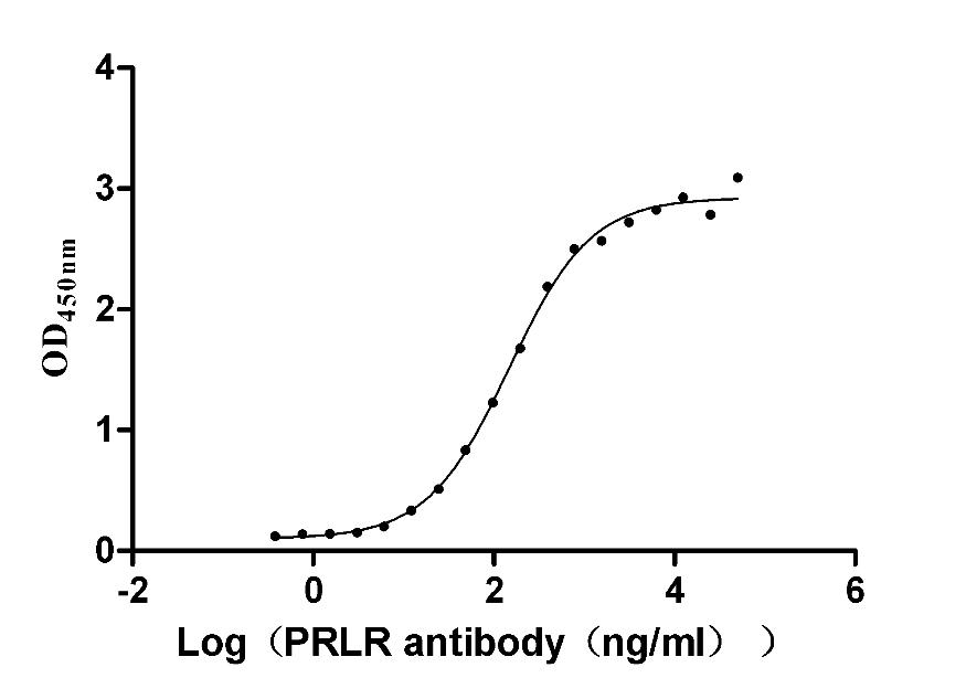 PRLR Recombinant Monoclonal Antibody [1D3] (50µl)