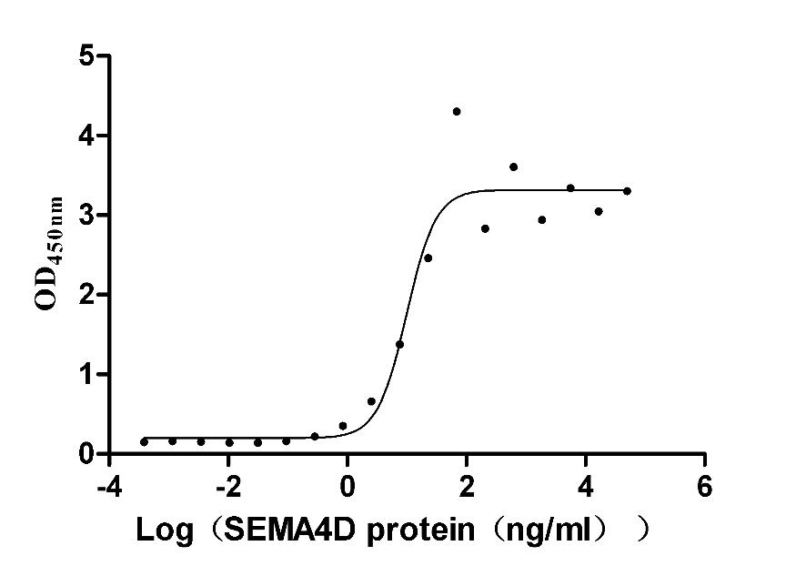 SEMA4D Recombinant Monoclonal Antibody [5D12] (50µl)