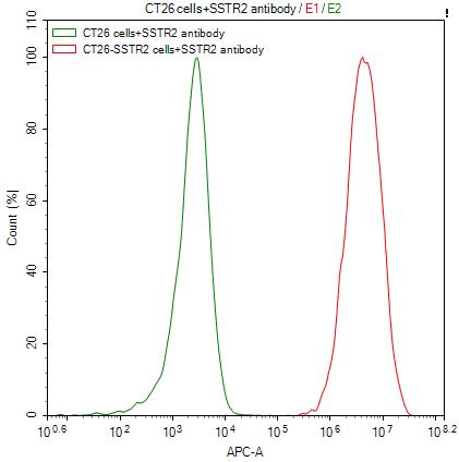 SSTR2 Recombinant Monoclonal Antibody [7A9] (50µl)