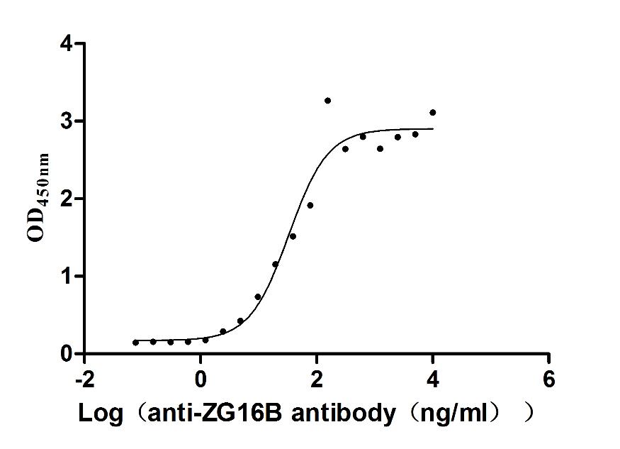 ZG16B Recombinant Monoclonal Antibody [6E5]