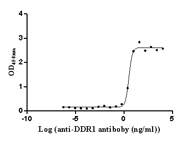 DDR1 Recombinant Monoclonal Antibody [7F6] (50µl)