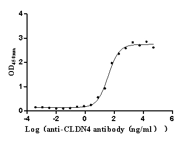 CLDN4 Recombinant Monoclonal Antibody [8G7]