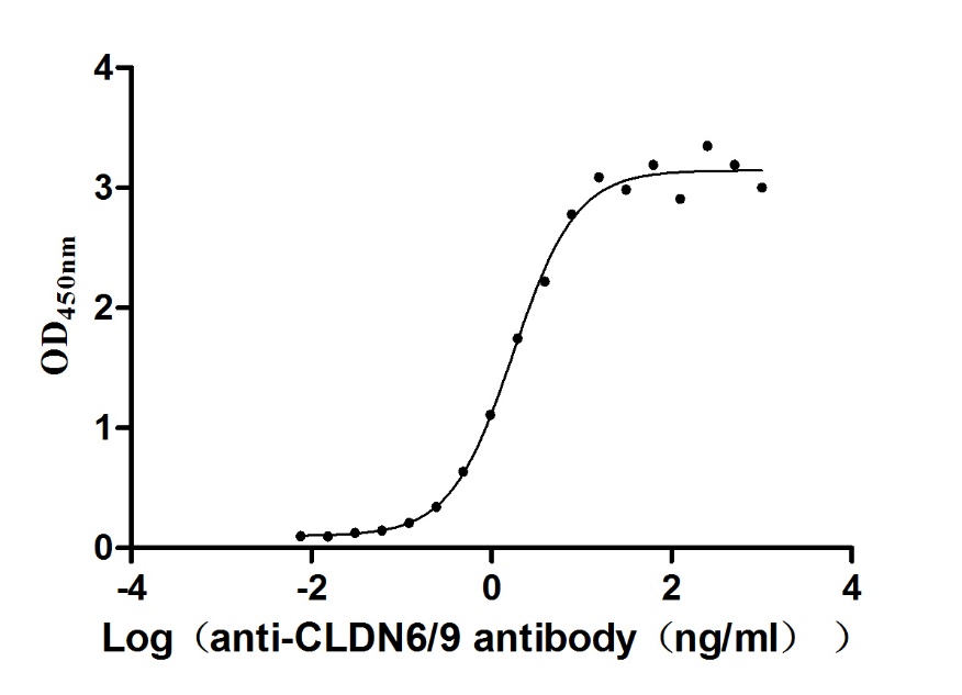 CLDN6/9 Recombinant Monoclonal Antibody [9H8]